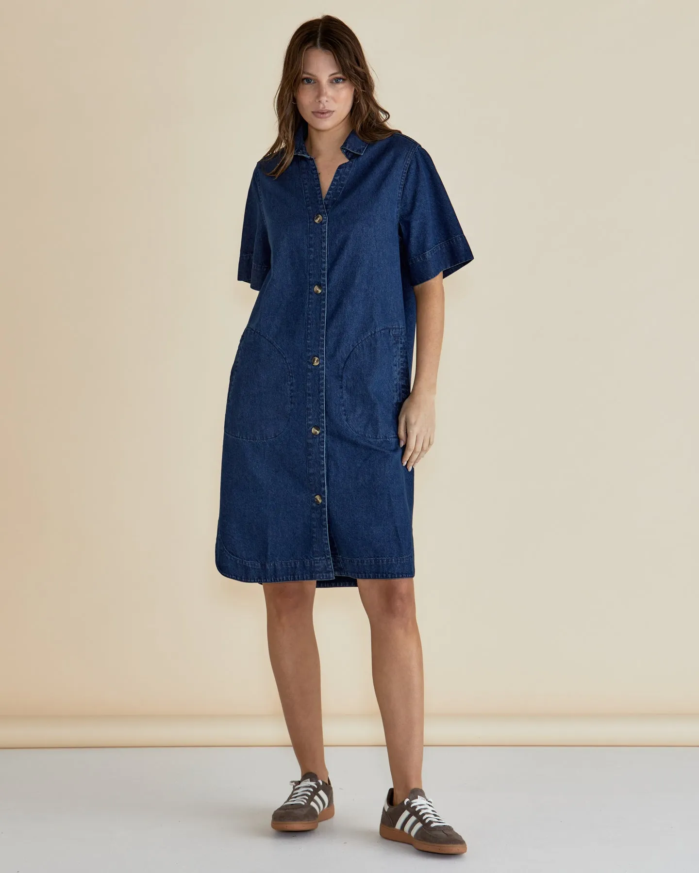 Betty Basics Dawson Denim Dress Vintage Wash