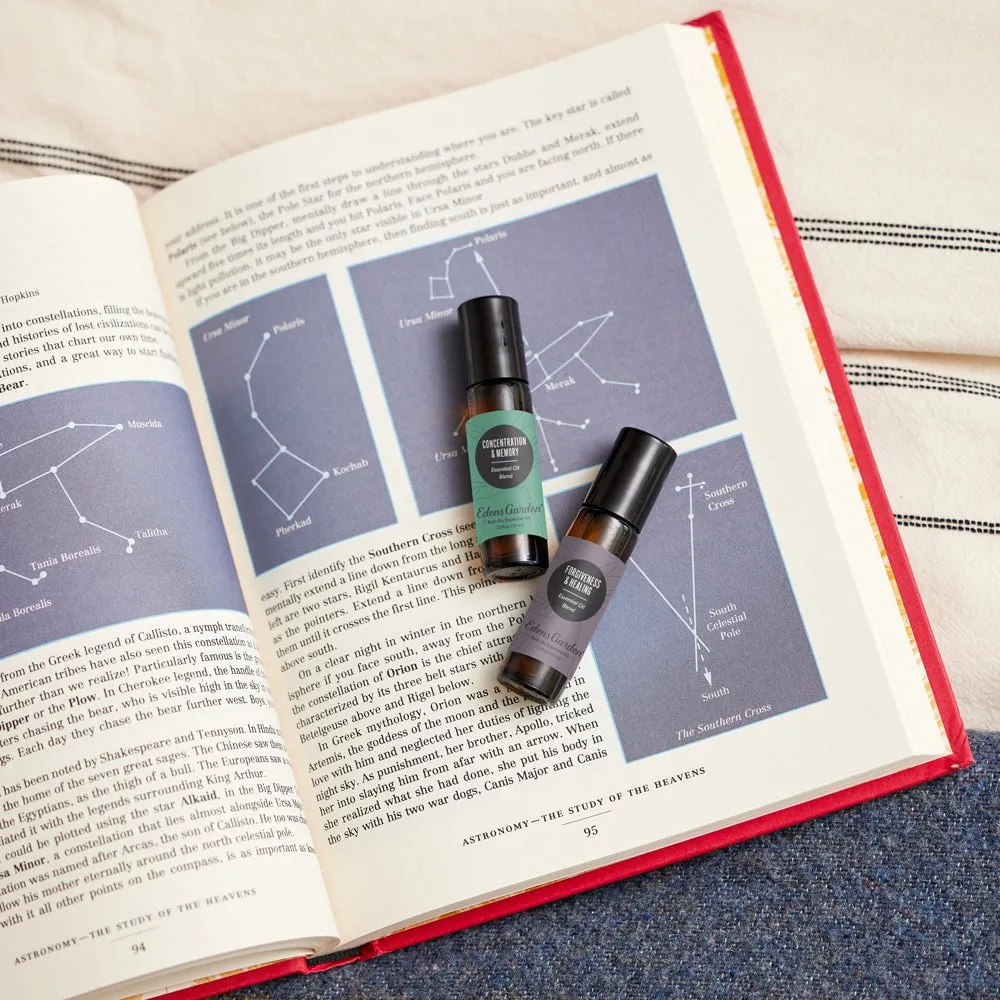 Concentration & Memory Essential Oil Roll-On- Best For Focus, Alertness & Cognitive Health