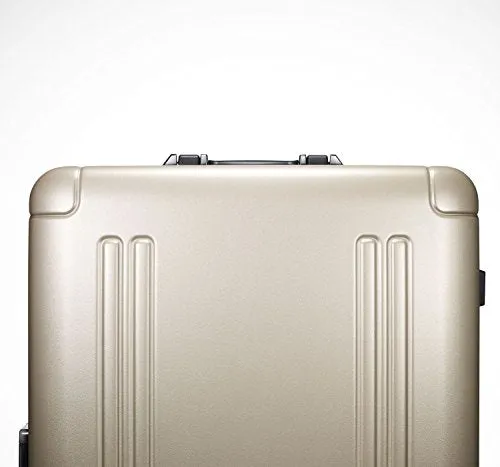 Zero Halliburton ZRO 20" International Carry-On 4-Wheel Spinner Luggage (20, GUN METAL)