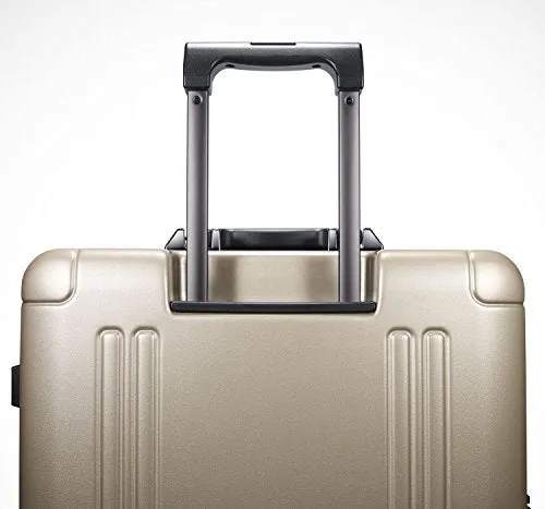 Zero Halliburton ZRO 20" International Carry-On 4-Wheel Spinner Luggage (20, GUN METAL)